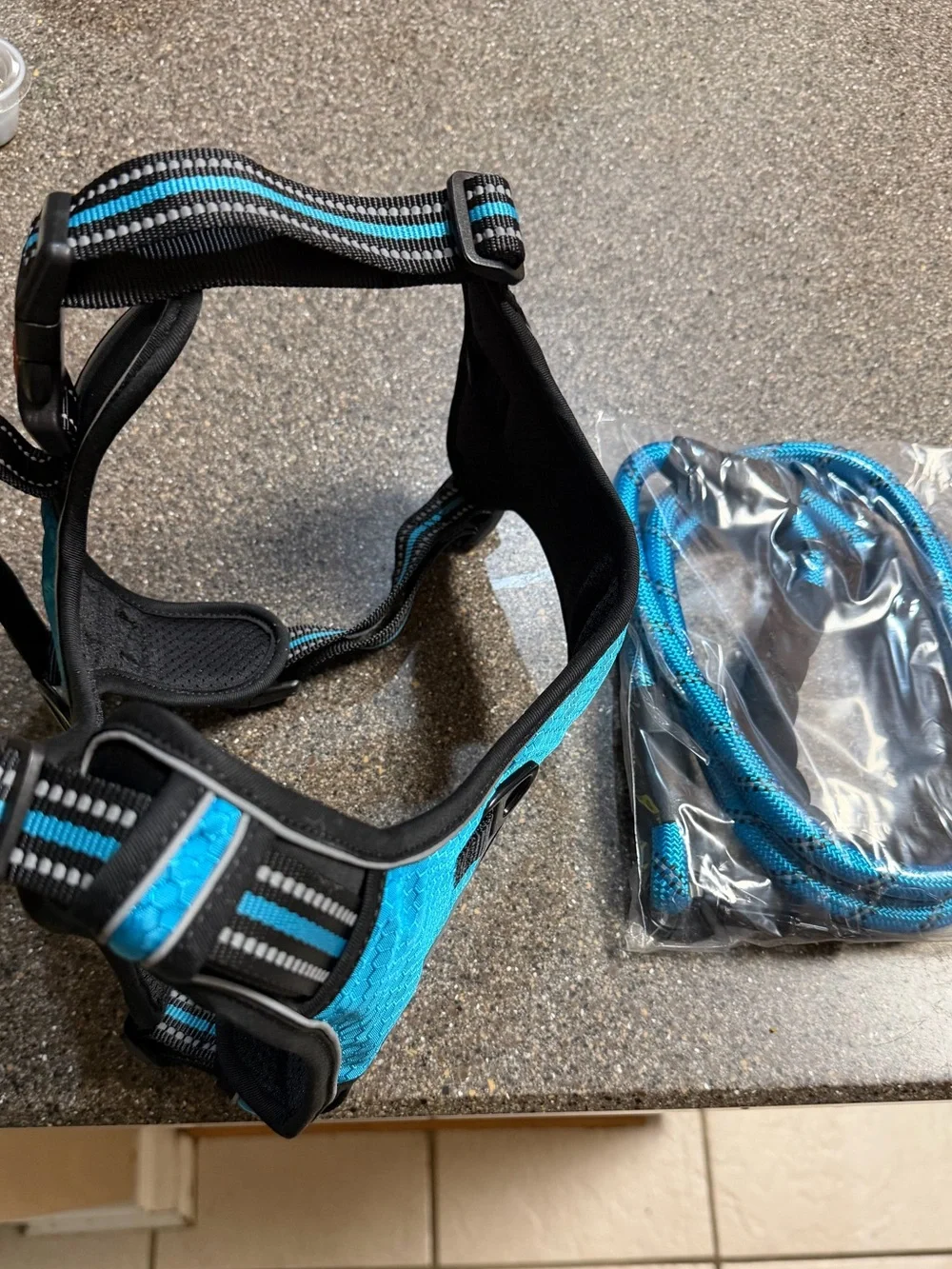 NWT no- pull Dog harness and leash (Large) in blue. Never used. 5 ft. Leash